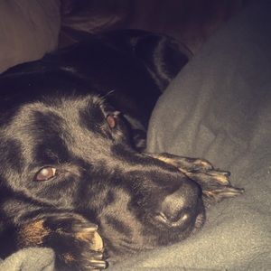 Meet your Posher, Alexis